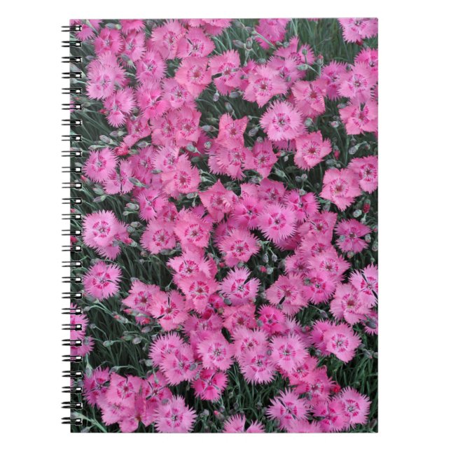 Rosa sötwilliam-blommor anteckningsbok (Framsidan)