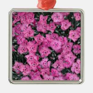 Rosa sötwilliam-blommor julgransprydnad metall