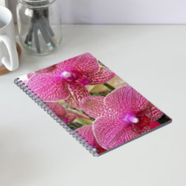 Rosa Specklad Phalaenopsis Orchids Blommigt Anteckningsbok