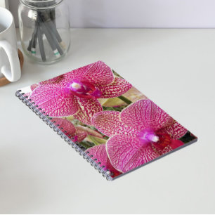 Rosa Specklad Phalaenopsis Orchids Blommigt Anteckningsbok