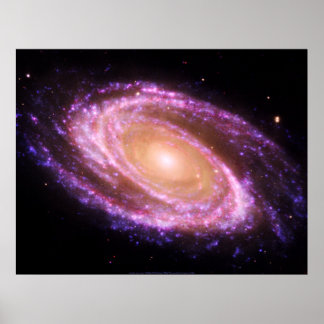 Rosa Spiral Galaxy Large Poster