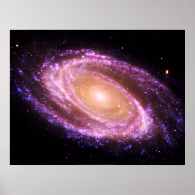 Rosa Spiral Galaxy Large Poster (Framsidan)