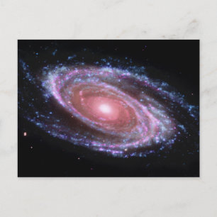Rosa Spiral Galaxy vykort