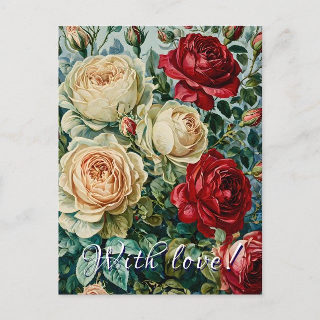 Rosa splendor. Blommigt bukett av ro. Vykort (Framsida)