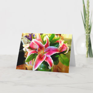 rosa Stargazer liethållande kort