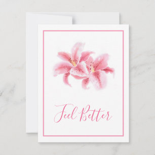 Rosa Stargazer Lilies