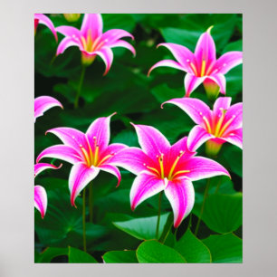 Rosa Stargazer Lilies AI Art Poster