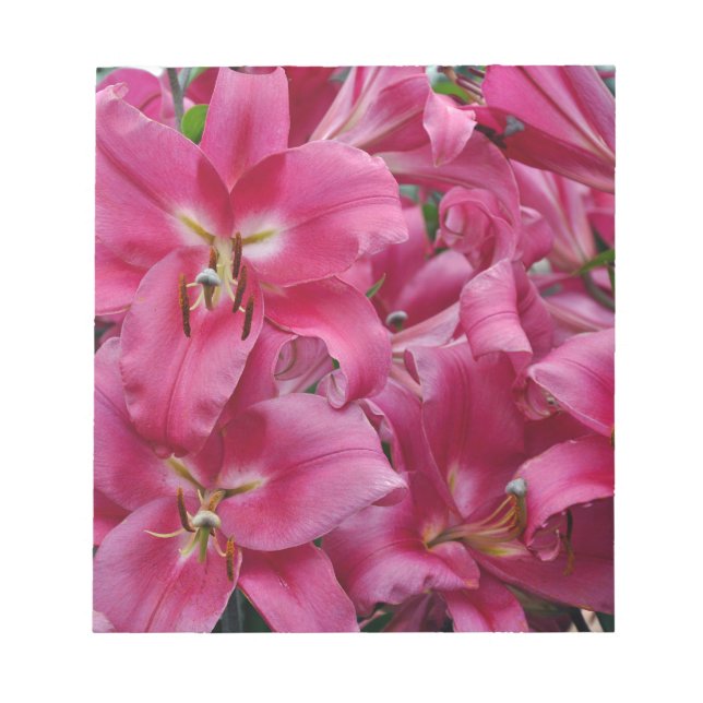 Rosa stargazer lilies anteckningsblock (Framsida)
