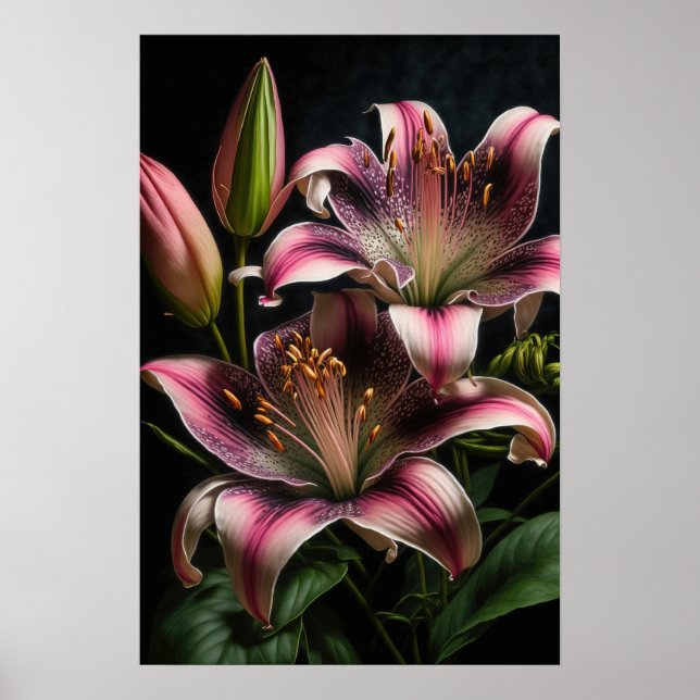 Rosa Stargazer Lilies Flower Art Print Poster (Framsidan)