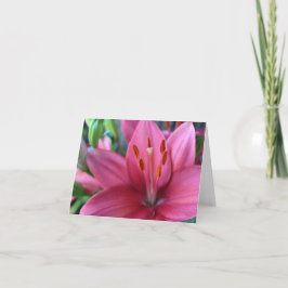 Rosa Stargazer-lilja i trädgården  Helgkort