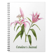 Rosa Stargazer Lily