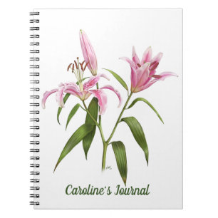 Rosa Stargazer Lily Anteckningsbok