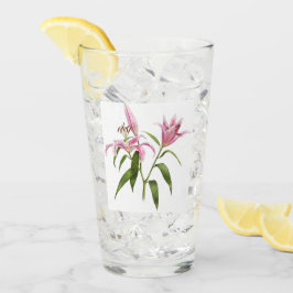 Rosa Stargazer Lily Blommigt Botanical Art Glaskopp