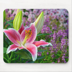 Rosa stargazer lily print mousepad musmatta