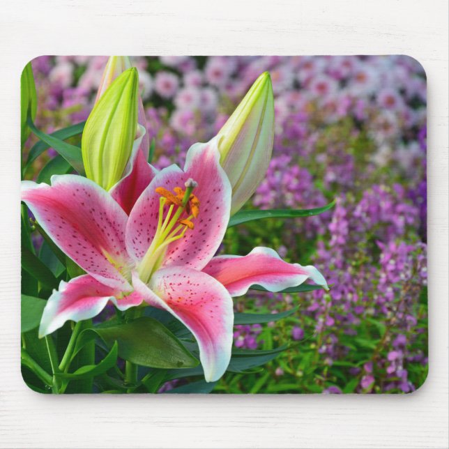 Rosa stargazer lily print mousepad musmatta (Framsidan)