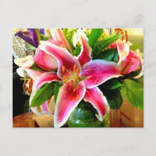 rosa Stargazer lily vycard Vykort