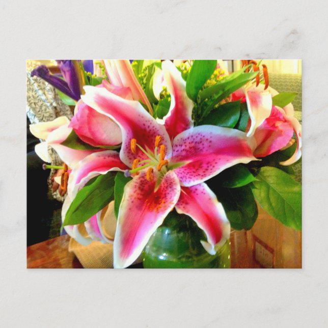 rosa Stargazer lily vycard Vykort (Framsida)