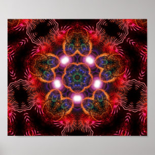 rosa starLights poster