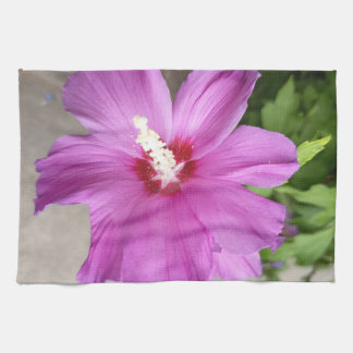 Rosa Stockros Blomma Köks Handduk Kökshandduk