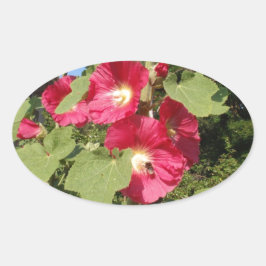 Rosa stockrosor ovalt klistermärke