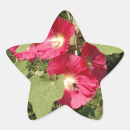 Rosa stockrosor stjärnformat klistermärke