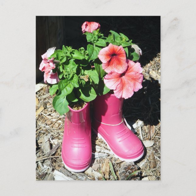 Rosa stövlar blomma vykort (Framsida)