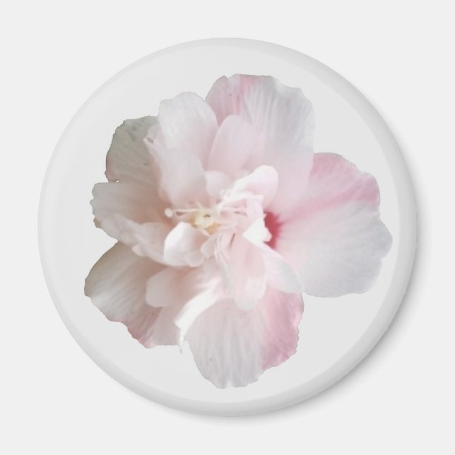 Rosa Strawberry Smoothie Althea Magnet (Framsidan)