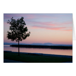 Rosa Sunset Hälsningskort