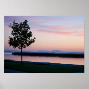 Rosa Sunset Poster