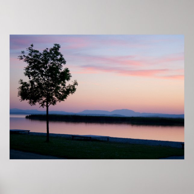 Rosa Sunset Poster (Framsidan)