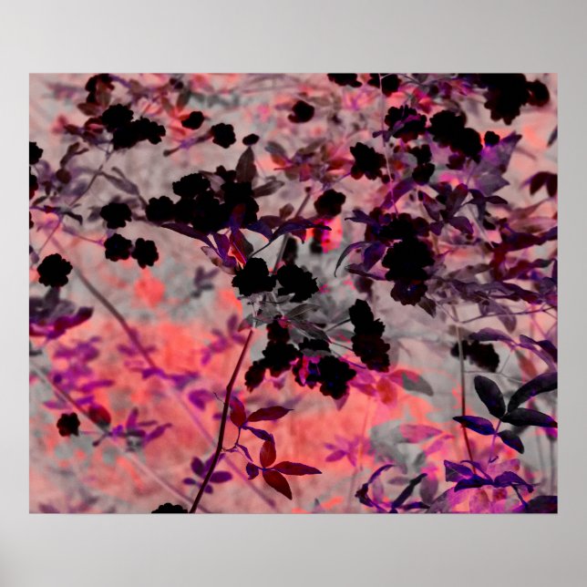 Rosa svartromantik, stil blommans mönster konst poster (Framsidan)