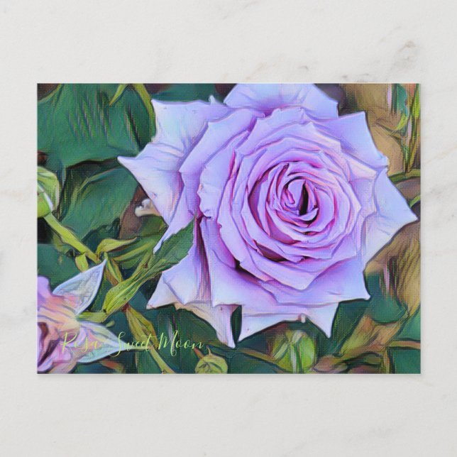 Rosa Sweet Måne [vykort] Vykort (Framsida)