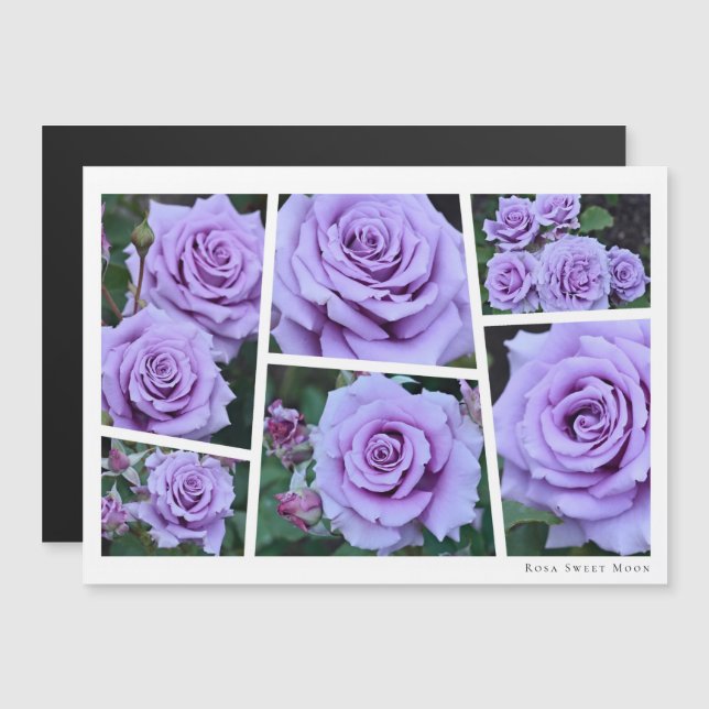 Rosa Sweet Moon (Fram/baksida)