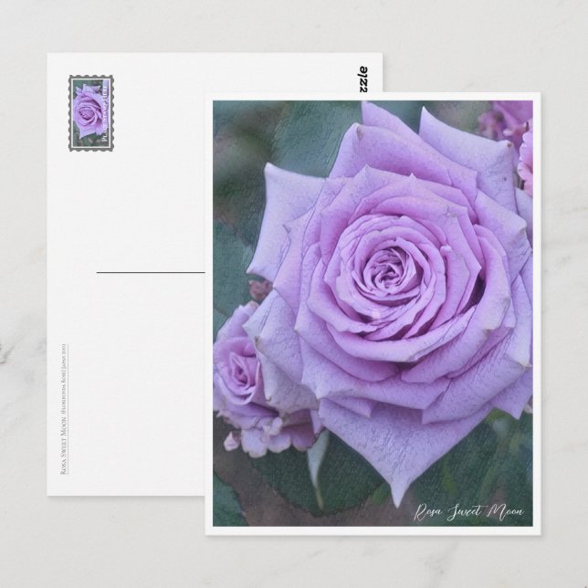 Rosa Sweet Moon Vykort (Fram/baksida)