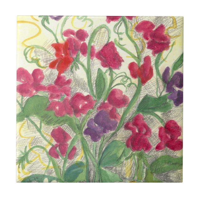 Rosa Sweet Pea Watercolor Blomsterträdgård Tile Ar Kakelplatta (Framsidan)