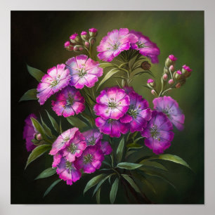 Rosa Sweet William Flower Art Print Poster