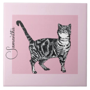 Rosa Tabby Katt Katter Pastell Rosa Tjejs Namn Kakelplatta
