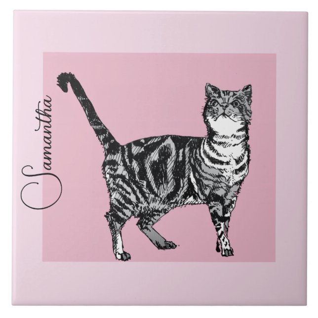 Rosa Tabby Katt Katter Pastell Rosa Tjejs Namn Kakelplatta (Framsidan)