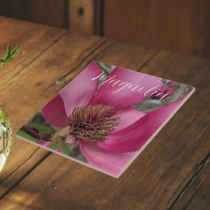 Rosa tallrik magnolia blommande blommor kakelplatta