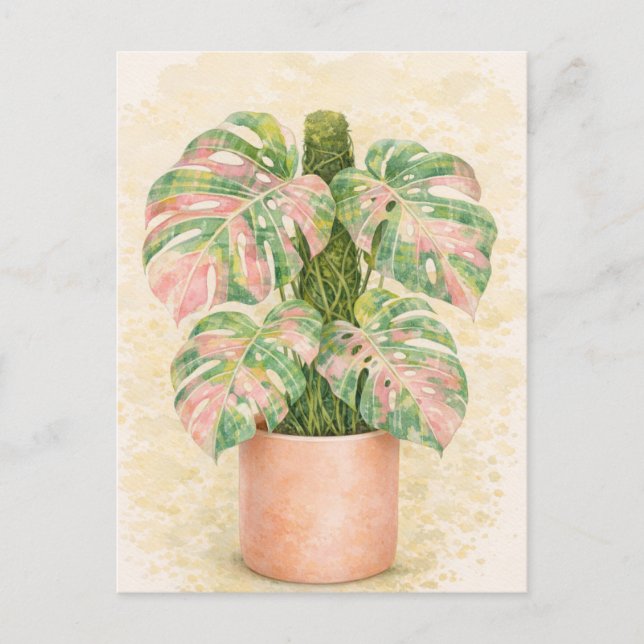 rosa tartan monstera blad skotsk skottland  vykort (Framsida)