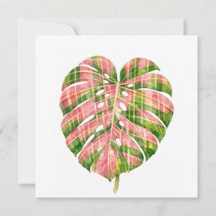 Rosa Tartan Skotsk Monstera Akvarell Botanisk