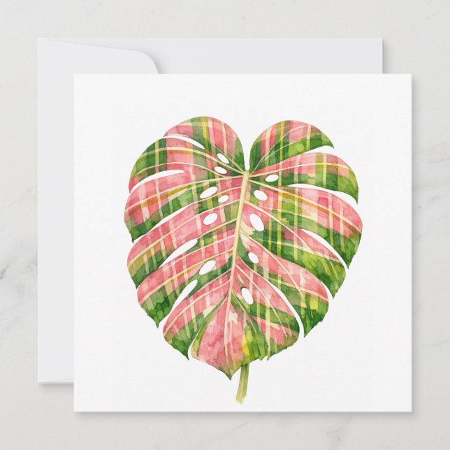 Rosa Tartan Skotsk Monstera Akvarell Botanisk (Framsida)