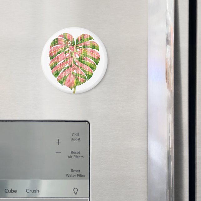 Rosa Tartan Skotsk Monstera Akvarell Botanisk Magnet (In Situ (Fridge))