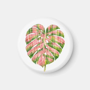 Rosa Tartan Skotsk Monstera Akvarell Botanisk Magnet