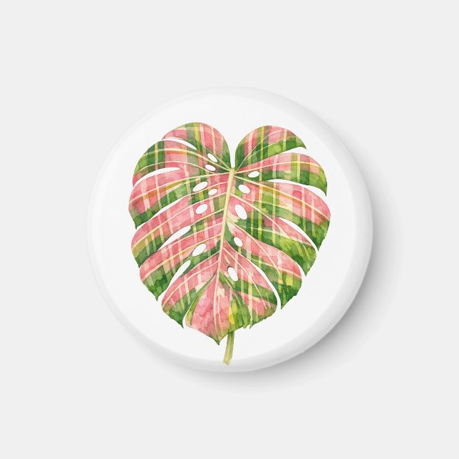 Rosa Tartan Skotsk Monstera Akvarell Botanisk Magnet (Framsidan)