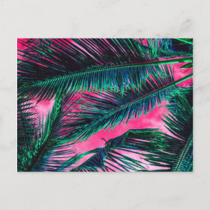 Rosa Teal Tropical Summer Handflatan Träd Fronts Vykort