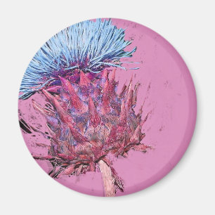 rosa thistle magnet