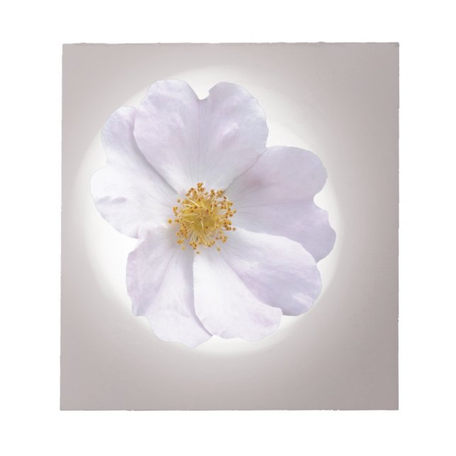 rosa till lila anteckningsblock (Framsida)