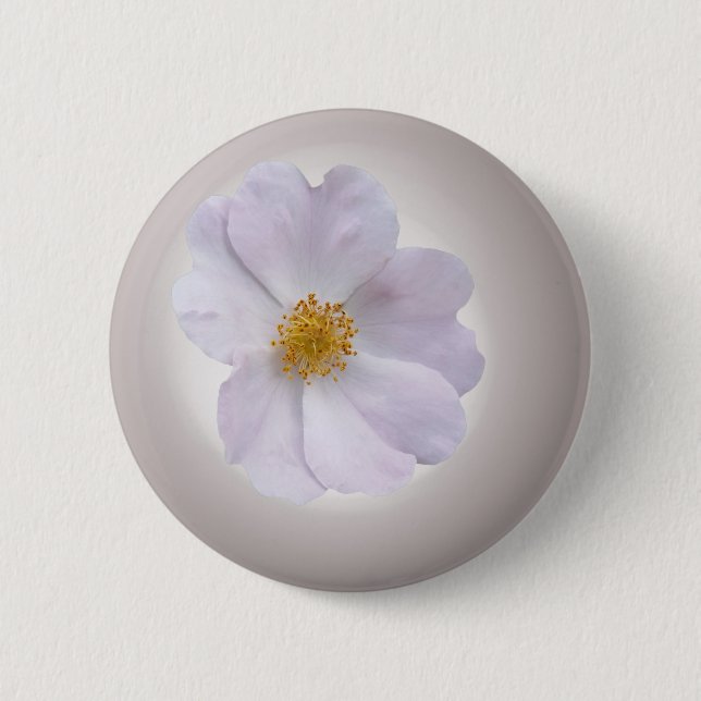 rosa till lila knapp (Framsida)