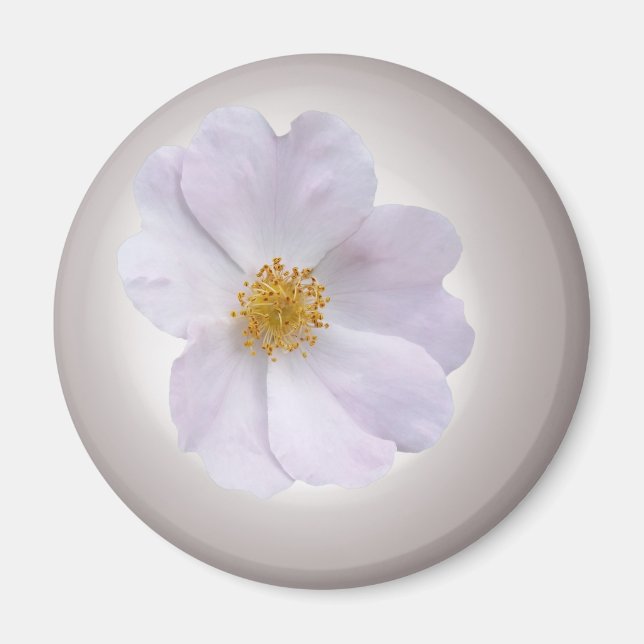 rosa till lila magnet (Framsidan)